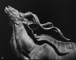 A Crown Upon His Head