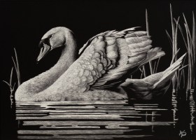 Reflections of Elegance